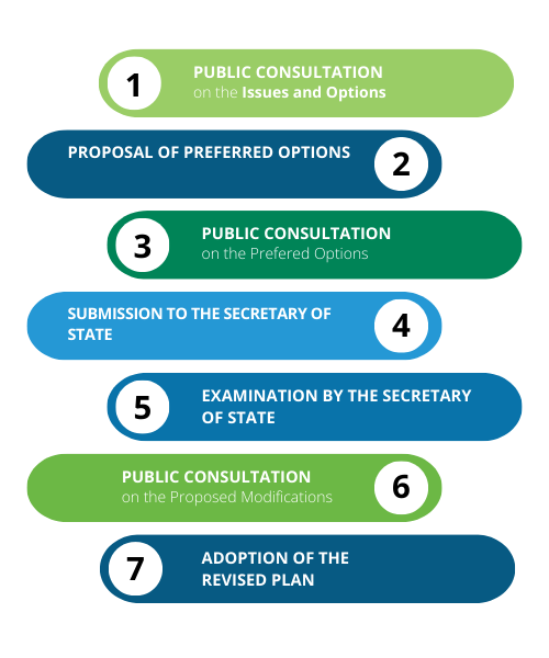 The Local Plan review process